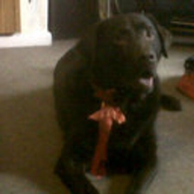 Profile Picture of Candice Dickson (@candicedickson8) on Twitter