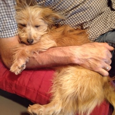 Profile Picture of Laura Sassi (@laurasassi12) on Twitter