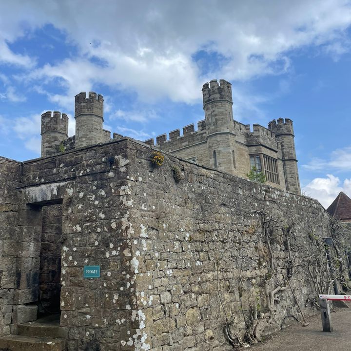 Profile Picture of Patrick Lowther (@patricklowther) on Tiktok