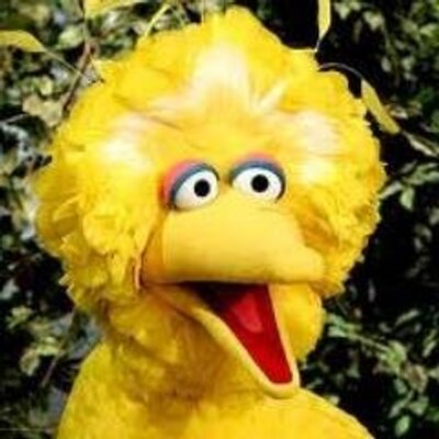 Profile Picture of David Rains (@davidnrains) on Twitter