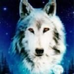 Profile Picture of Peter Aka Galactic Ëxplorer (@galactex) on Myspace