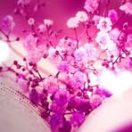 Colin Picard - Facebook Profile Picture of Colin Picard (@Colin-Picard) on Facebook