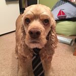 Profile Picture of Kevin Stoker (@stoker.kevin) on Instagram