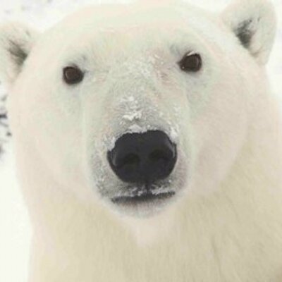 Profile Picture of Greg Bender (@GregoryBender) on Twitter