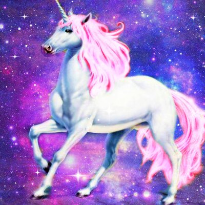 Connor Brandt - Twitter Profile Picture of Connor Brandt (@ConnorBrandt9) on Twitter