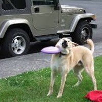 Profile Picture of Milica Stefanovic (@milica-stefanovic-9) on Quora