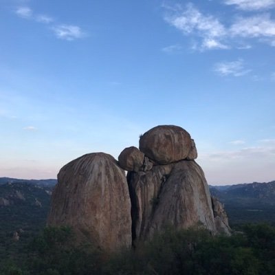 Profile Picture of Celine Gilbert (@CelineG67543720) on Twitter