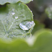 Profile Picture of James Stacey (@jamesstacey4976) on Youtube