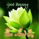 Profile Picture of Rita Chatterjee (@chatterjeerita) on Instagram