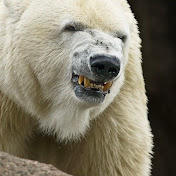 Profile Picture of Richard Cunningham (@RichardCunningham-i9h) on Youtube