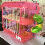 Profile Picture of Robbie & Ryan Mowbray (@robbie_ryan_official) on Instagram