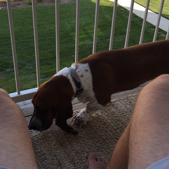 Profile Picture of Eric Feetterer (@efeetterer) on Poshmark