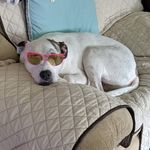 Profile Picture of Jason Baillargeon (@junebaillargeon) on Instagram