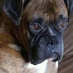 Profile Picture of grayson jarvis (@jarvisgrayson) on Instagram