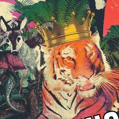 Profile Picture of Max Vogl (@vogl_max) on Twitter