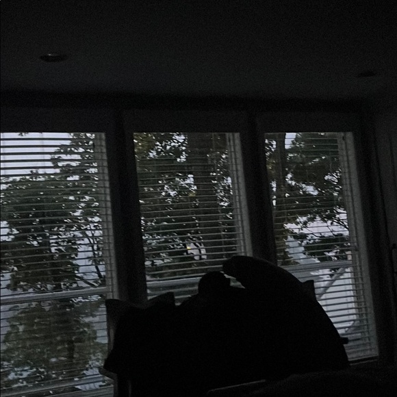 Profile Picture of Karen Schultz (@klsscotty) on Poshmark