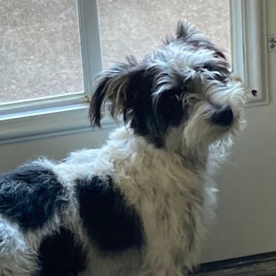 Profile Picture of Xavier Benson (@XavierBenson17) on Twitter