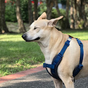 Profile Picture of Alice Wang (@Alice14182) on Youtube