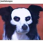 Profile Picture of Seth Daniel Michael (@sethdmichael) on Instagram
