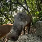 Profile Picture of Richard Largo (@richard.largo.586277) on Facebook