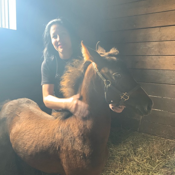 Profile Picture of Karen Catney (@catney649) on Poshmark