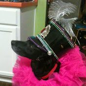 Profile Picture of Marty Jarrell (@martyjarrell1083) on Youtube