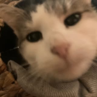 Profile Picture of daniel (@_danielmay) on Instagram