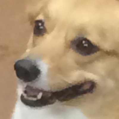 Profile Picture of Sean Clements (@themanbrotendo) on Twitter