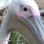 Profile Picture of Andrew Armes (@andrew.armes.35) on Facebook