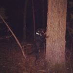 Jordan Rinehart - Instagram Profile Picture of Jordan Rinehart (@rinehart35) on Instagram