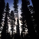 Profile Picture of Joshua O’Connor (@joshjoshohmygosh__) on Instagram