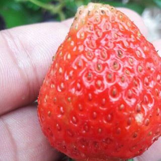 Profile Picture of Kim Jenish Limboo (raju subba) (@jerry.widz.545) on Facebook