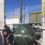 Profile Picture of Todd Resnick (@todd.resnick.56) on Instagram