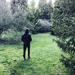 Profile Picture of Ben Walpole (@walpole_b) on Instagram