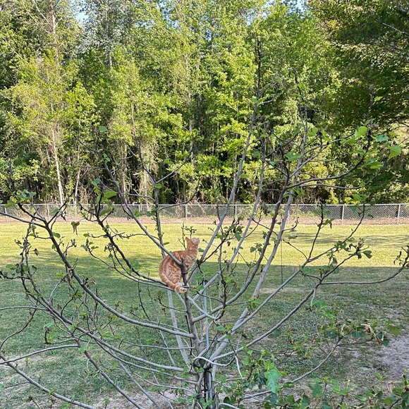 Bryce Compton - Poshmark Profile Picture of Bryce Compton (@brcompttt) on Poshmark