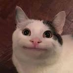 Profile Picture of Audrie Closa (@Audrie-Closa) on Facebook