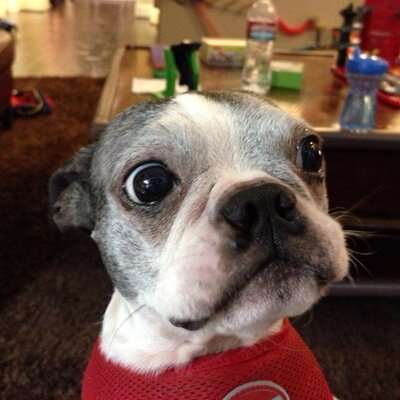 Profile Picture of Matt Carty (@MMCartyPDX) on Twitter