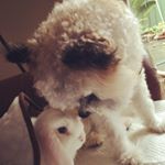 Profile Picture of Tina Zhao (@tinanana_zn) on Instagram