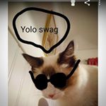 Profile Picture of Ingrid Wright (@coolingarna_09) on Instagram