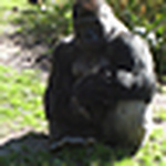 Profile Picture of Joe Hart (@joe & karen hart) on Flickr