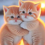 Profile Picture of Robin's Daily Vlog. (@robinsdailyvlog) on Youtube