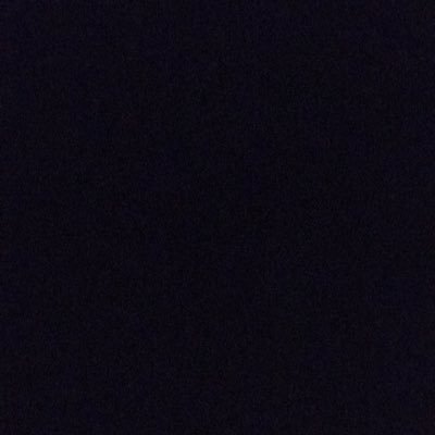 Profile Picture of Jessie De Jong (@jessietweeties) on Twitter