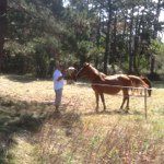 Profile Picture of Guenzi Armand (@aguenzi) on Instagram