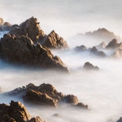 Profile Picture of Pengcheng Li (@PengchengLi15) on Twitter