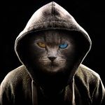 Profile Picture of Francesco salvaggio (@franci.richard07) on Instagram