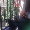 Profile Picture of Susan Koch (@@susankoch5) on Tiktok