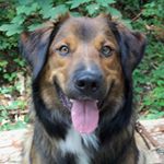 Profile Picture of Peter Scheuermann (@scheuermann.p) on Instagram