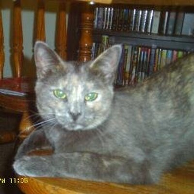 Profile Picture of Robin Lyyn Powers (@Jesus_Frk) on Twitter