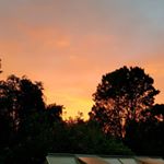 Profile Picture of Jenna Burr (@jennasue66) on Instagram