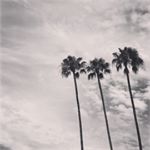 Profile Picture of Steven Griffin (@stevengriffinnn) on Instagram